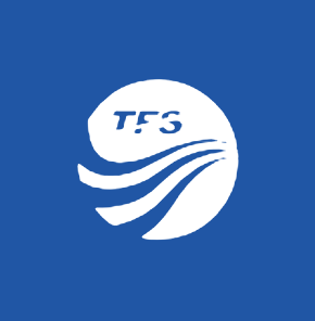 TFS